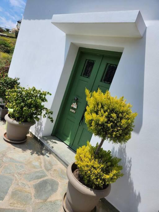 Villa Stellinas Pretty House Ándros Exterior foto